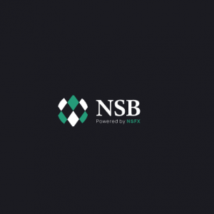  تقيم شركة NSBroker