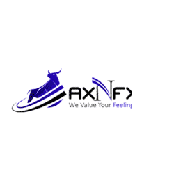 تقيم شركة AXNFX