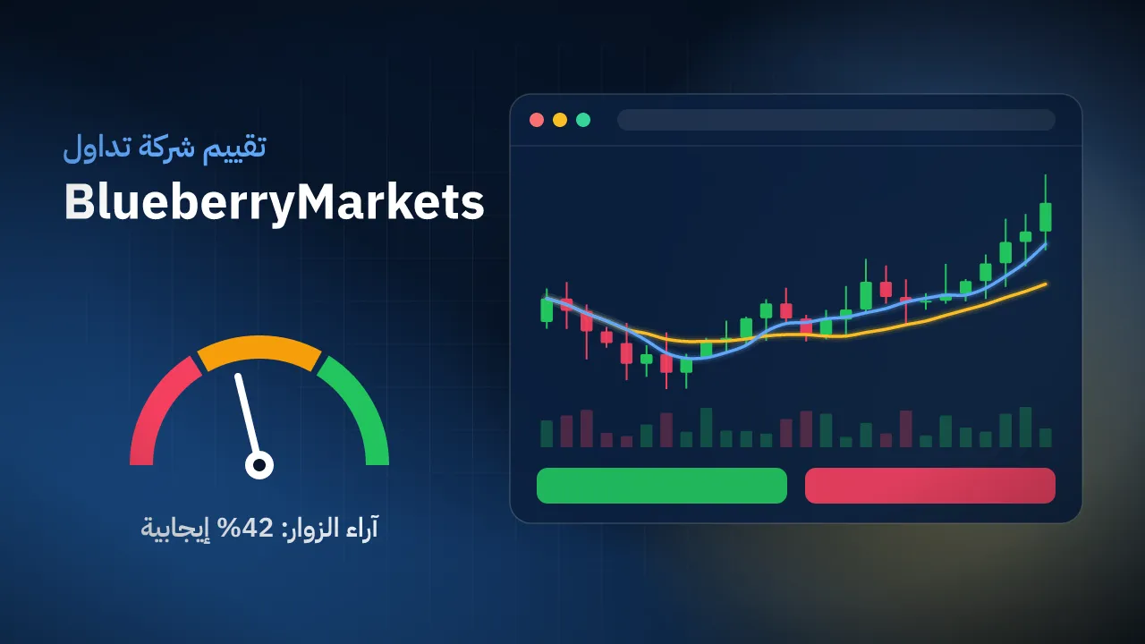 تقيم شركة BlueberryMarkets
