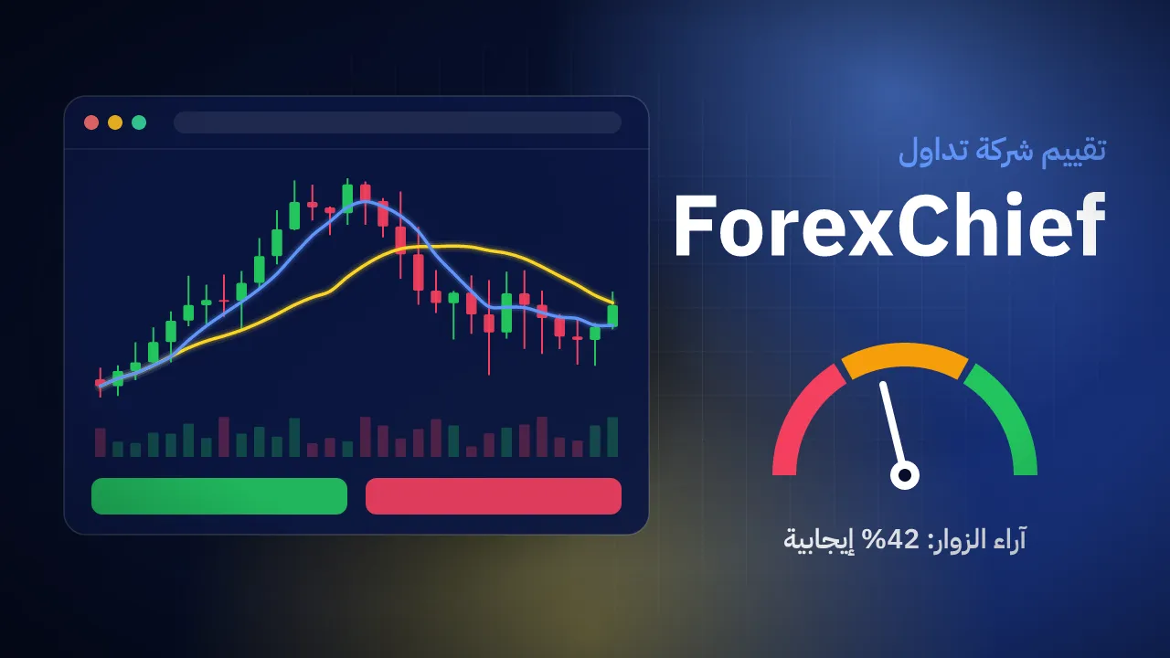تقيم شركة ForexChief