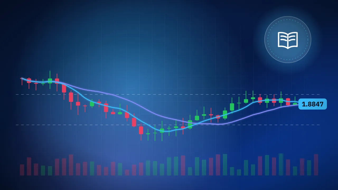 مشكلة التركيز على الربح فى البورصة فقط