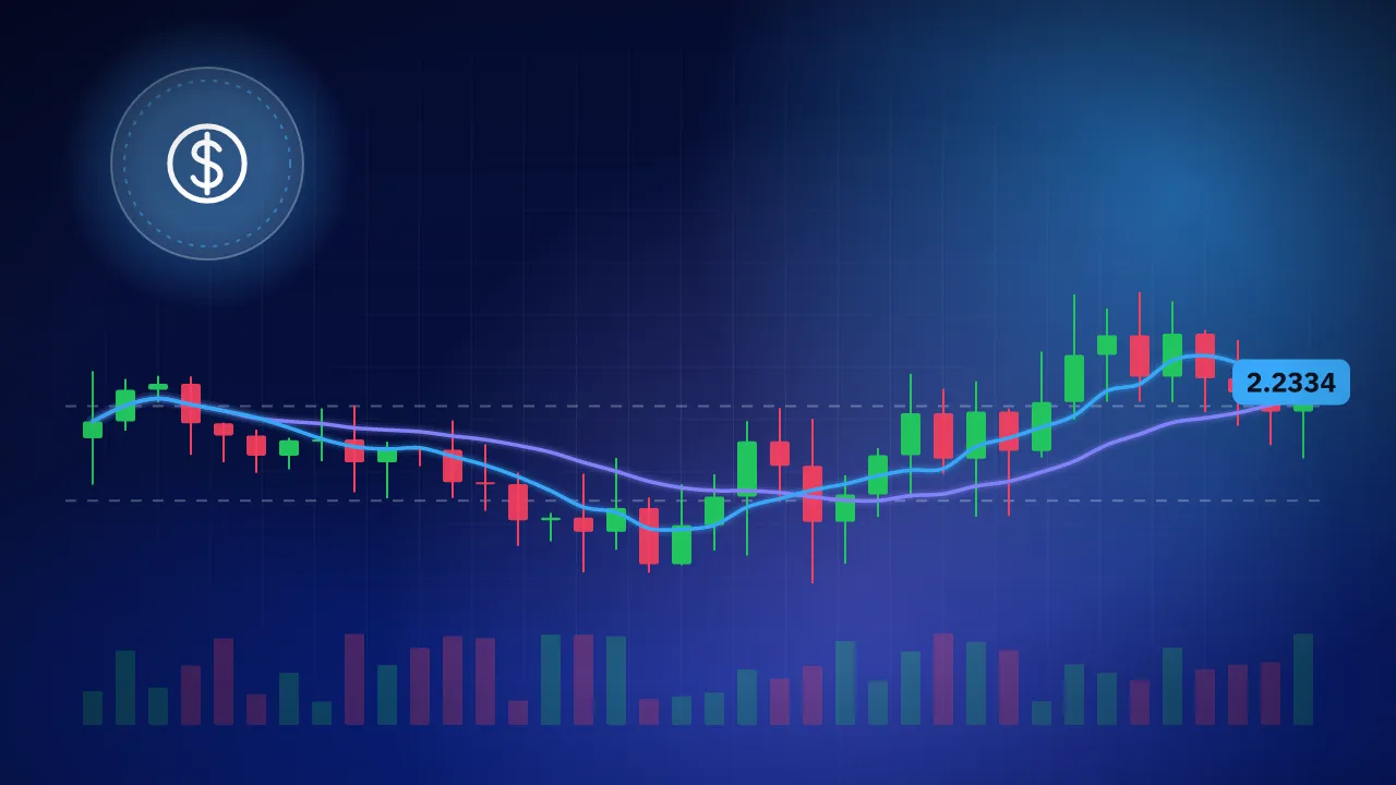 تعريف الدولار النيوزيلندي وتاريخة