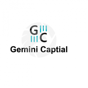 تقيم شركة GeminiCap